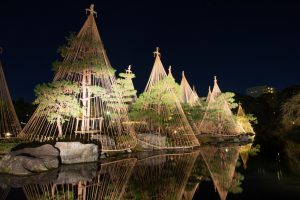 白鳥庭園、観楓会、雪吊り、紅葉、ライトアップ、11月、秋、名古屋市熱田区の観光・撮影スポットの画像と写真