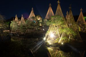 白鳥庭園、観楓会、雪吊り、紅葉、ライトアップ、11月、秋、名古屋市熱田区の観光・撮影スポットの画像と写真