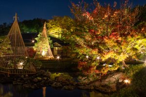 白鳥庭園、観楓会、雪吊り、紅葉、ライトアップ、11月、秋、名古屋市熱田区の観光・撮影スポットの画像と写真