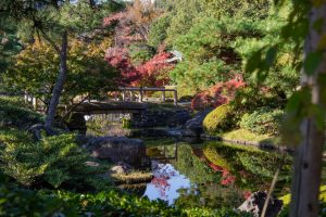 白鳥庭園、紅葉、11月、秋、名古屋市熱田区の観光・撮影スポットの画像と写真