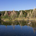 白鳥庭園、雪吊り、紅葉、11月、秋、名古屋市熱田区の観光・撮影スポットの画像と写真