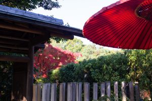 白鳥庭園、清羽亭、紅葉、11月、秋、名古屋市熱田区の観光・撮影スポットの画像と写真
