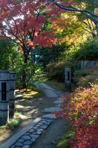白鳥庭園、紅葉、11月、秋、名古屋市熱田区の観光・撮影スポットの画像と写真