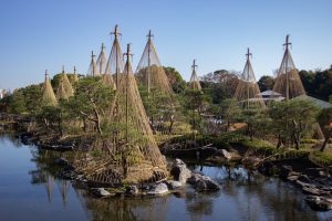白鳥庭園、雪吊り、紅葉、11月、秋、名古屋市熱田区の観光・撮影スポットの画像と写真