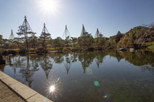 白鳥庭園、雪吊り、紅葉、11月、秋、名古屋市熱田区の観光・撮影スポットの画像と写真