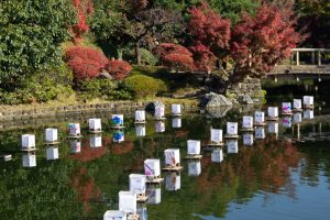 白鳥庭園、観楓会、紅葉、11月、秋、名古屋市熱田区の観光・撮影スポットの画像と写真