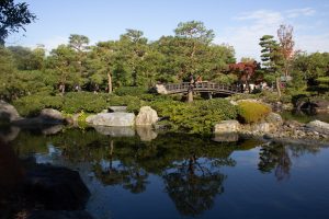 白鳥庭園、紅葉、11月、秋、名古屋市熱田区の観光・撮影スポットの画像と写真