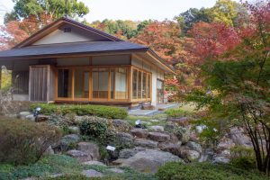 東山動植物園、紅葉、11月、秋、日本庭園、名古屋市千種区の観光・撮影スポットの画像と写真
