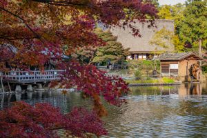 東山動植物園、紅葉、11月、秋、日本庭園、名古屋市千種区の観光・撮影スポットの画像と写真