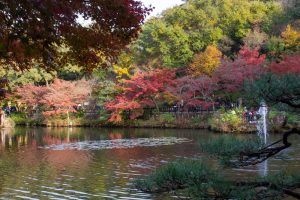 東山動植物園、紅葉、11月、秋、日本庭園、名古屋市千種区の観光・撮影スポットの画像と写真