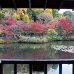 東山動植物園、紅葉、11月、秋、日本庭園、名古屋市千種区の観光・撮影スポットの画像と写真