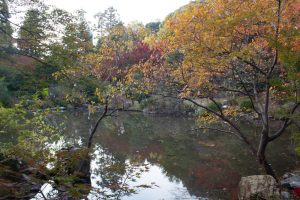 東山動植物園、紅葉、11月、秋、日本庭園、名古屋市千種区の観光・撮影スポットの画像と写真