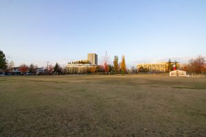 ミササガパーク（猿渡公園）、11月、秋。愛知県刈谷市の観光・撮影スポットの画像と写真