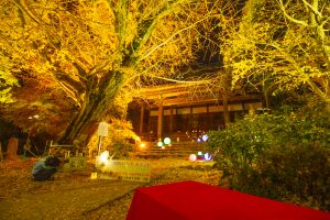 そぶえイチョウ黄葉まつり, ライトアップ、11月、愛知県稲沢市の観光・撮影スポットの画像と写真