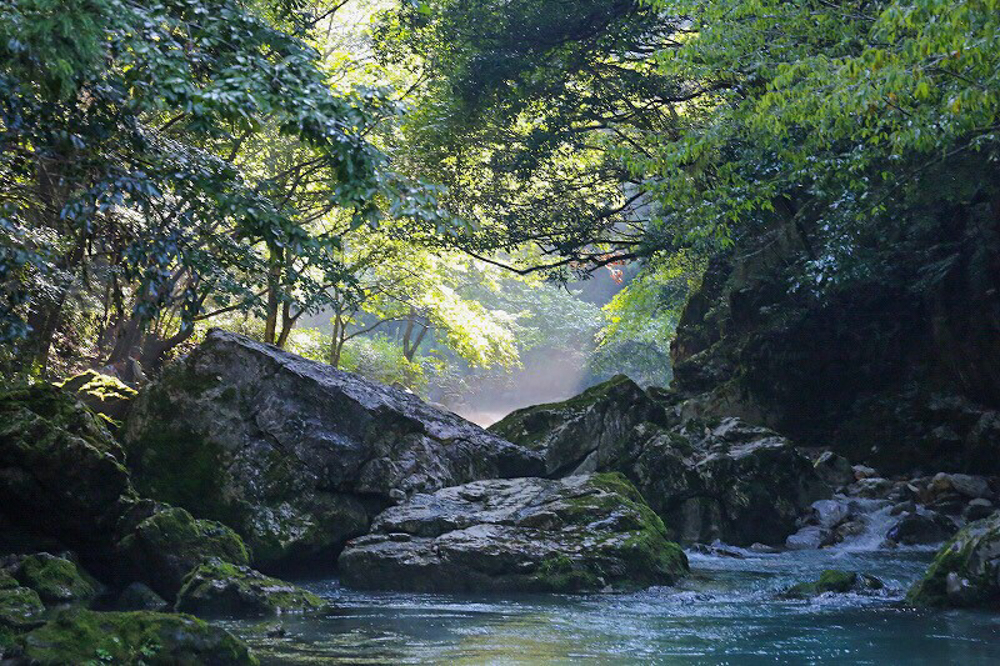 円原川、光芒、岐阜県山県市の観光・撮影スポットの画像と写真