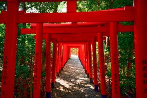 三好稲荷閣、祭り、8月、夏、愛知県みよし市の観光・撮影スポットの画像と写真