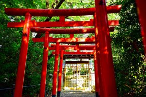 三好稲荷閣、祭り、8月、夏、愛知県みよし市の観光・撮影スポットの画像と写真