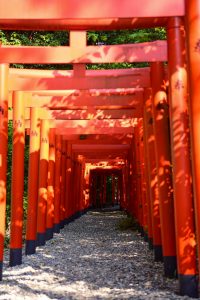 三好稲荷閣、祭り、8月、夏、愛知県みよし市の観光・撮影スポットの画像と写真三好稲荷閣、祭り、8月、夏、愛知県みよし市の観光・撮影スポットの画像と写真