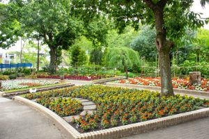 名城公園、6月の夏の花、名古屋市北区の観光・撮影スポットの画像と写真