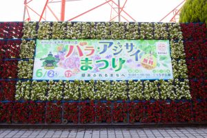 市民四季の森、あじさい、6月の夏の花、愛知県小牧市の観光・撮影スポットの画像と写真