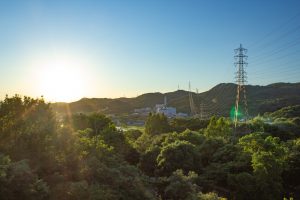 市民四季の森、展望台、6月の夏の花、愛知県小牧市の観光・撮影スポットの画像と写真