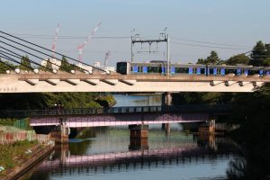 荒子川公園、あおなみ線、6月の夏の花、名古屋市港区の観光・撮影スポットの画像と写真