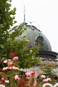 鶴舞公園、奏楽堂、6月の夏の花、名古屋市昭和区の観光・撮影スポットの画像と写真
