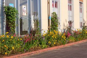フローラルガーデンよさみ、秋の花、9月、愛知県刈谷市の観光・撮影スポットの画像と写真