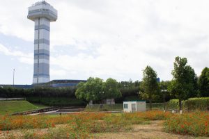 木曽三川公園センター、展望タワーとコスモス、9月の秋の花、岐阜県海津市の観光・撮影スポットの画像と写真