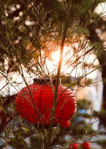 刈谷万燈(まんど)まつり、秋葉社・松秀寺、8月、夏、愛知県刈谷市の観光・撮影スポットの画像と写真