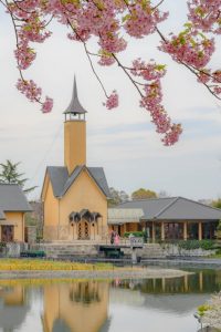 なばなの里、河津桜、3月の春の花、三重県桑名市の観光・撮影スポットの画像と写真