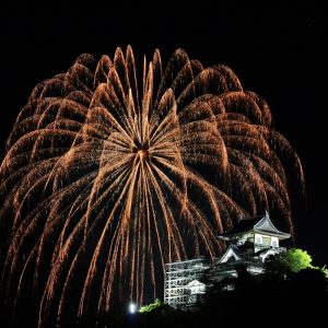 木曽川ロングラン花火、日本ライン納涼花火大会、夏、8月、愛知県犬山市の観光・撮影スポットの画像と写真木曽川ロングラン花火、日本ライン納涼花火大会、夏、8月、愛知県犬山市の観光・撮影スポットの画像と写真
