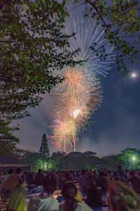 東海まつり花火大会、2019年8月、夏の風物詩、愛知県東海市の観光・撮影スポットの画像と写真