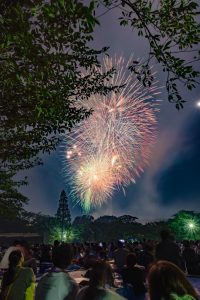 東海まつり花火大会、2019年8月、夏の風物詩、愛知県東海市の観光・撮影スポットの画像と写真