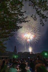 東海まつり花火大会、2019年8月、夏の風物詩、愛知県東海市の観光・撮影スポットの画像と写真