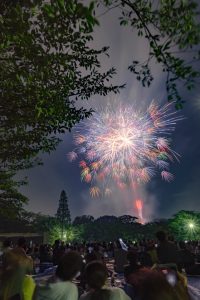 東海まつり花火大会、2019年8月、夏の風物詩、愛知県東海市の観光・撮影スポットの画像と写真