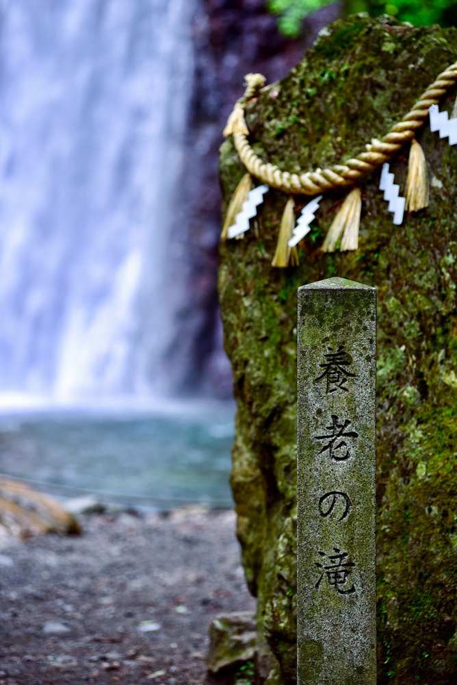 養老の滝、8月、夏、岐阜県養老郡の観光・撮影スポットの画像と写真
