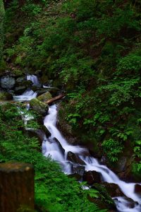 養老の滝、8月、夏、岐阜県養老郡の観光・撮影スポットの画像と写真養老の滝、8月、夏、岐阜県養老郡の観光・撮影スポットの画像と写真