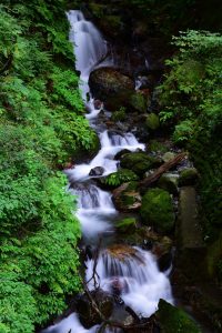 養老の滝、8月、夏、岐阜県養老郡の観光・撮影スポットの画像と写真