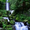 養老の滝、8月、夏、岐阜県養老郡の観光・撮影スポットの画像と写真