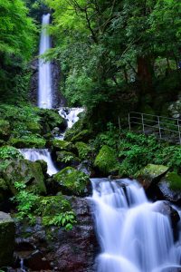 養老の滝、8月、夏、岐阜県養老郡の観光・撮影スポットの画像と写真