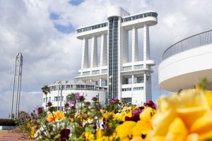 名古屋港ガーデンふ頭臨港緑園、ポートビル、3月の春の花、名古屋市港区の観光・撮影スポットの画像と写真