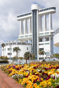 名古屋港ガーデンふ頭臨港緑園、ポートビル、3月の春の花、名古屋市港区の観光・撮影スポットの画像と写真
