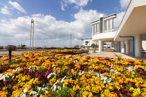 名古屋港ガーデンふ頭臨港緑園、ポートビル、3月の春の花、名古屋市港区の観光・撮影スポットの画像と写真