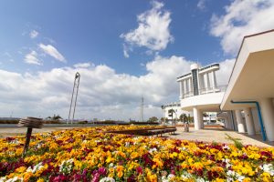 名古屋港ガーデンふ頭臨港緑園、ポートビル、3月の春の花、名古屋市港区の観光・撮影スポットの画像と写真