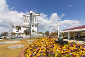 名古屋港ガーデンふ頭臨港緑園、ポートビル、3月の春の花、名古屋市港区の観光・撮影スポットの画像と写真