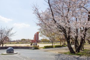 落合公園、桜、水の塔、3月の春の花、愛知県春日井市の観光・撮影スポットの画像と写真