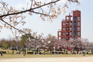 落合公園、桜、水の塔、3月の春の花、愛知県春日井市の観光・撮影スポットの画像と写真
