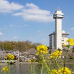 城山公園、スカイワードあさひ、桜・菜の花、3月の春の花、愛知県尾張旭市の観光・撮影スポットの画像と写真