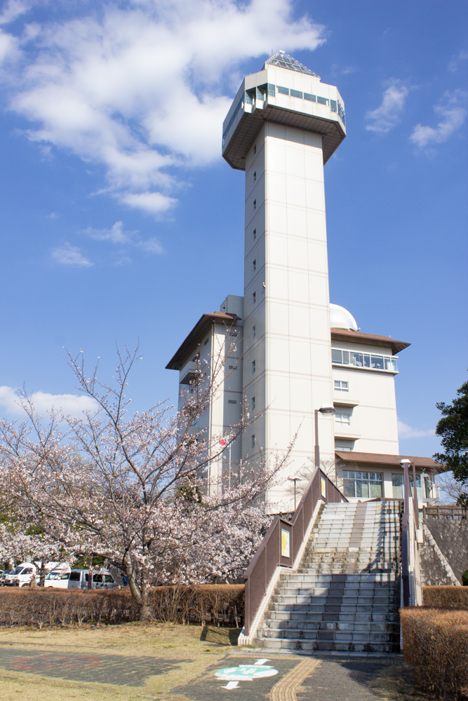 城山公園、桜・スカイワードあさひ、3月の春の花、愛知県尾張旭市の観光・撮影スポットの画像と写真